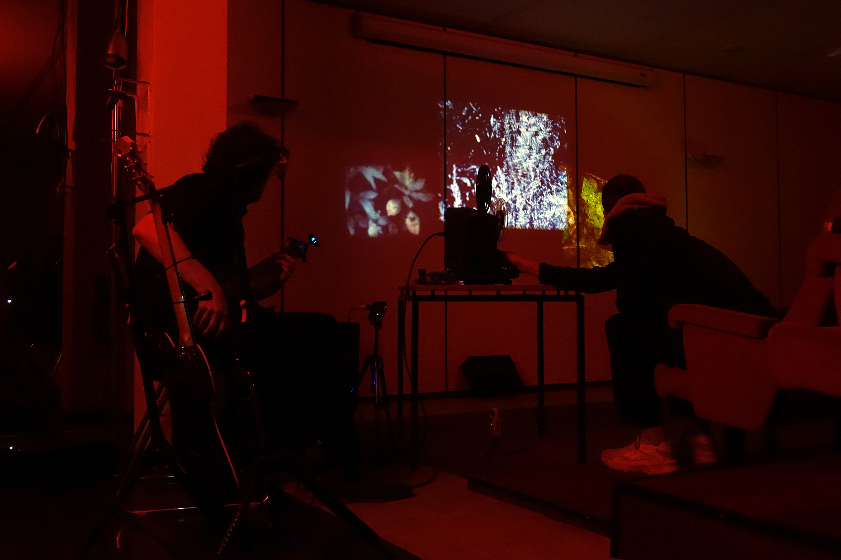 W_in_der_Wiesche_©_Deb_Brussels_DSC00831