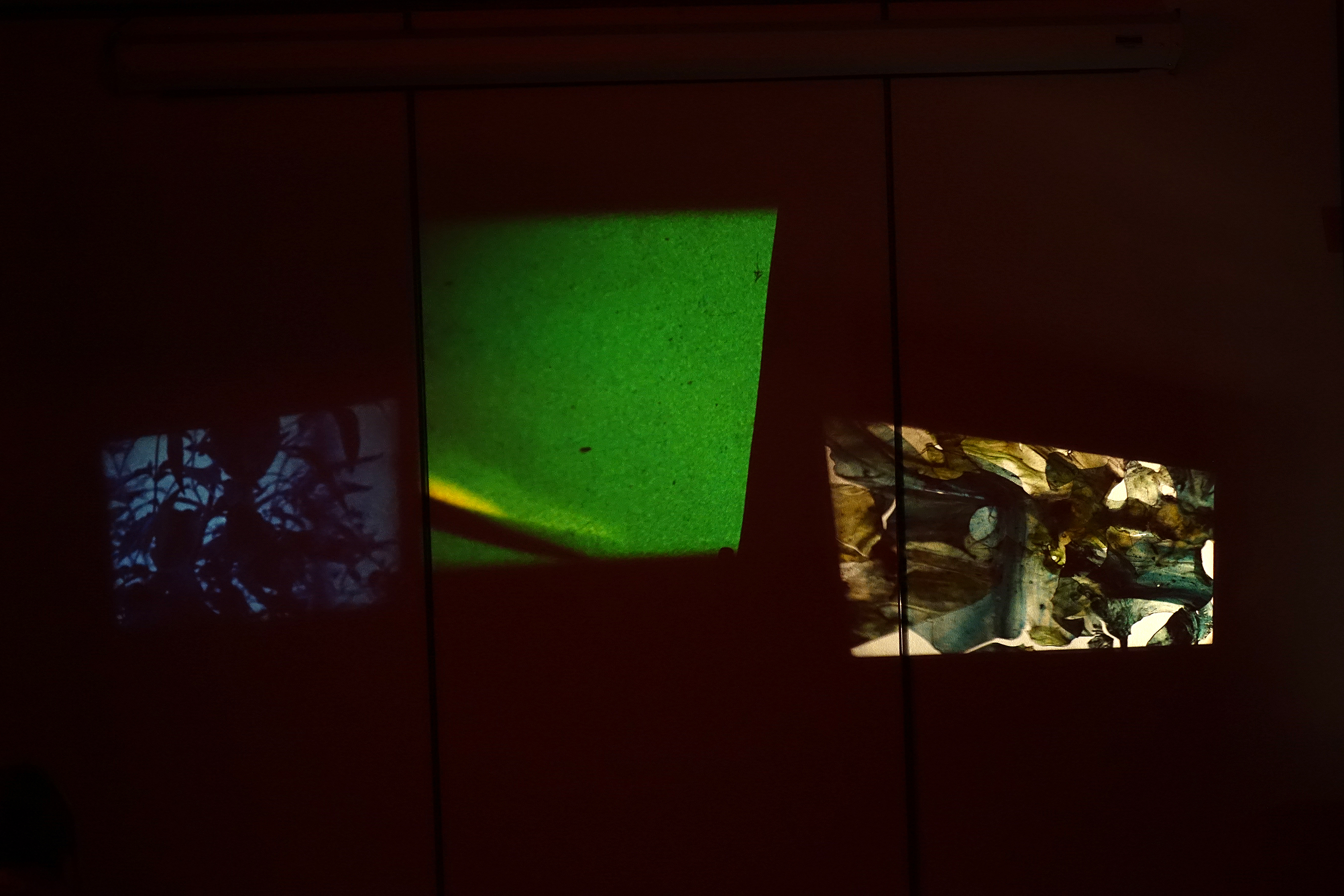 W_in_der_Wiesche_©_Deb_Brussels_DSC00825