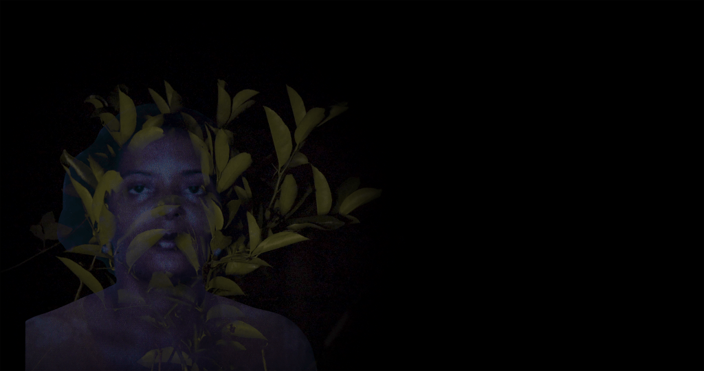 frame Cemitério Verde / Green Cemetery, Mauricio Chades